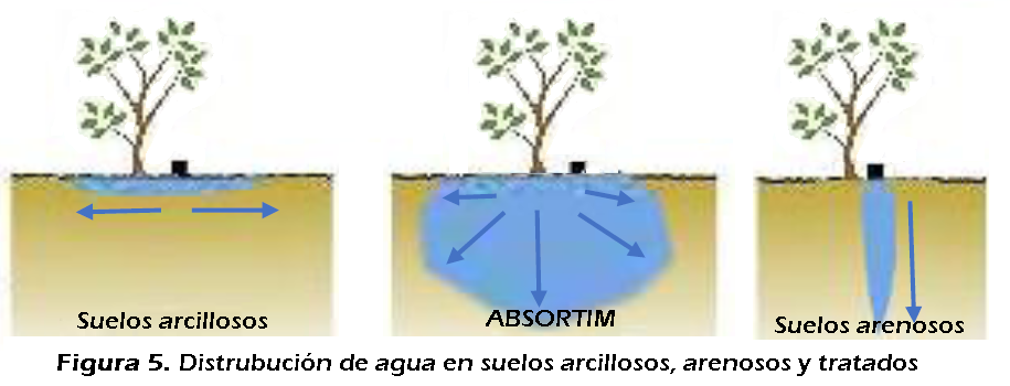 absortim graf - Arvensis Agro